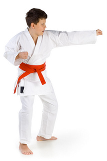 Martial arts class